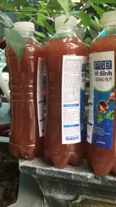 Men vi sinh PSBVi sinh giầu dinh dưỡnglàm trong nước bể cá cảnhbể thủy sinhhồ Koi.