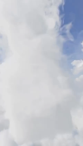 Eclaire Luxe Premium Women Fragrance Set - Floral Scent Travel Size Single Item