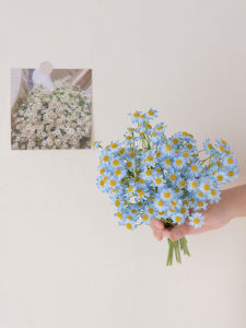 Bó Hoa Cúc Khô RoomTour Bó Hoa Giả Sinh Vật Học Hoa Trang Trí Phòng Khách Đồ Trang Trí Nhà Bằng Vải Nhung Tượng Hoa Tươi