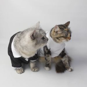 Baju Kucing Anjing Cewek Cowo Lucu Murah Gratis Ongkir 3 pcs 5 Ribu - Bukipet Purrfect Wedding Wear Series