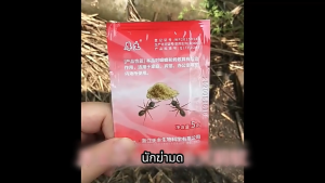 【ส่งจากกทม|พร้อมสต็อก】10-50pcs ยามด ตายยกรัง ยาฆ่ามด ไม่เป็นอันตรายต่อมนุษย์ ป้องกันควบคุมกำจัดและฆ่ามดสีดำสีขาวสีแดงและมดไฟ