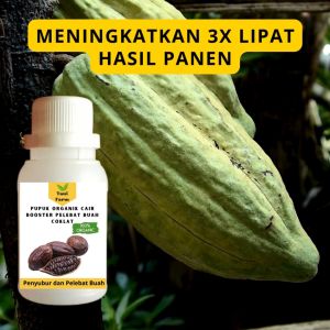 Pupuk Coklat Cepat Berbuah: Meningkatkan Hasil Panen