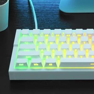 EWEADN | Bàn Phím Cơ Chơi Game Không Dây Irok Mg68Plus Toàn Bộ Bằng Nhôm CNC Switch Từ Tính RT 0001MM Dành Cho Game Thủ Esports PC Giao Diện USB 2.4Ghz