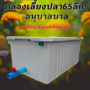 อ่างเลี้ยงปลา 65 ลิตร overflow 64x44x31ซ. ท่อสีฟ้า (กล่องสีขาวครีม) ระบบวาวล์ปิดเปิดน้ำได้ กะบะเลี้ยงปลา อ่างเลี้ยงปลา ปลาเมกาดะ