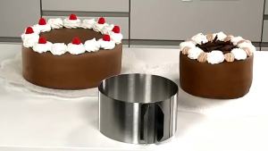 1pc Adjustable Cake Ring Mold Stainless Steel Round Baking Ring Telescopic Mousse Cake Ring Pastry Cooking Supplies Cake Tool