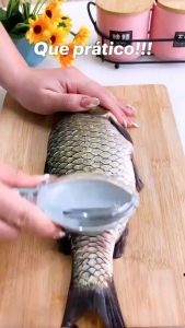 Alat Pembersih Sisik Ikan Stainless Steel