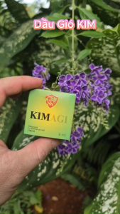 Dầu Gió Kim Xanh Công Ty Dược Agimexpharm