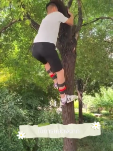 🔥อุปกรณ์ปีนต้นไม้ Tree Pole Climbing Spike ​Set ที่ปีนต้นไม้  ​​ปลอดภัยมากขึ้น​ ให้ เข็มขัดเซฟตี้