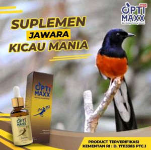 OPTIMAXX Asli Original Bird Song Winning Serum OPTIMAXX Vitamin Burung Kicau OPTIMAXX Vitamin Burung Murai Lovebird Kenari Kacer Perkutut