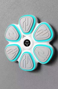 LIWAN | Bluetooth Musical Boxing Trainer