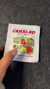 VIÊN CANXI BO (10GR) – TĂNG KÍCH THƯỚC & CHẤT LƯỢNG TRÁI