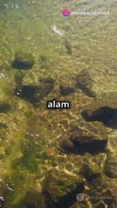 EM4 Mud Balls Bebola Lumpur (4 balls per packet) Wastewater Treatment Sludge Treatment Lake Earth Pond Mudball