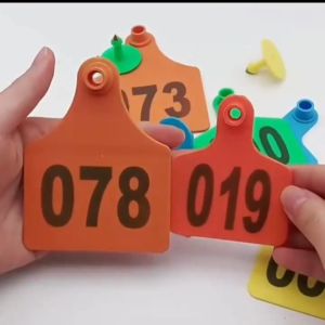 10Pcs Cattle Ear Tags 10x7cm Large Eartag Plastic Livestock Identification Ear Tag with Number for Cow Bull Calf