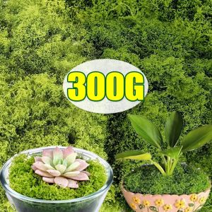 300/30g Artificial Green Moss Eternal Life Moss Lawn Landscape Simulated Plant Fake Grass Craft Potted Faux Preserved Plant Moss