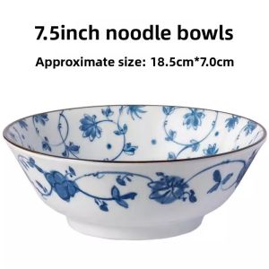 Mino Yaki | Japanese Underglaze Ceramic Bowl Set