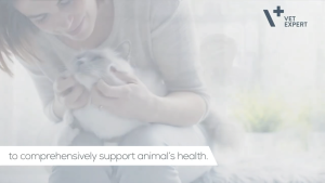 Vet Expert Neuro Support Capsules sold per piece for nervous system nerve support of dogs and cats