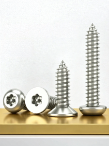 BAIRUITE | Round Head Torx Security Self Tapping Screws 304 Stainless Steel