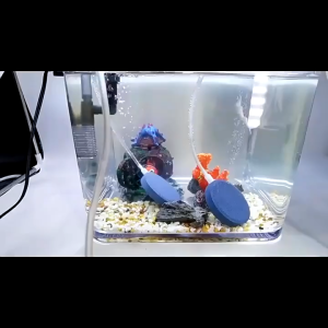 หัวทรายจาน หัวทรายออกซิเจน เนื้อละเอียด กระจายอากาศได้ดี เพิ่มออกซิเจนในตู้ปลา