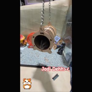 Hamtoro Puzzle Swing Bed Tempat Tidur Hamster Kayu Bisa Digantung
