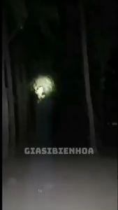 Đèn Pin Đội Đầu Pin Sạc 1 Bóng 50W Siêu Sáng Kèm Bộ Sạc