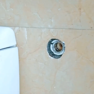 Kran Keran 2 katup output selang Jet Kloser Flush Kamar Mandi Taman