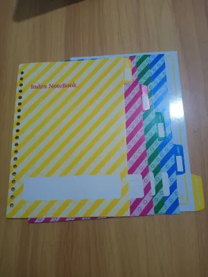 pembatas binder A5 20 lobang 1 set 5 warna