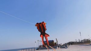 Diều khí động học cá 3D bay siêu đẹp