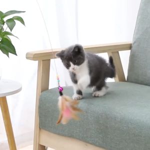 Fun Cat Stick Toys: Steel Wire, Feather & Bell