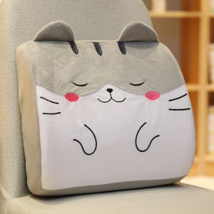 Memory Foam Lumbar Support Car and Office Seat Back Cushion