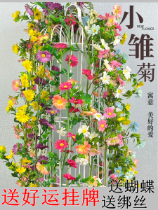 Đồ Trang Trí Nhà Bằng Nhựa Hoa Cúc Giả Dây Leo Che Phủ Mái Nhà Quạt Trần Trang Trí Đồ Trang Trí Nhà Dây Leo Giả