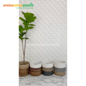 Pohon Artificial Tanaman Hias Daun Ketapang T100 Latex Pot Dasar Hitam Plastik Cover Seagrass Variasi Warna Hiasan Dekorasi Rumah Cafe Kantor Aesthetic