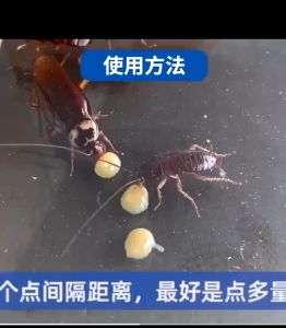 เจลกำจัดแมลงสาบ เจลไล่กำจัดแมลงสาบ กำจัดแมลงสาบ เจลกำจัดมด เจลกำจัดแมลง ขนาด 12g