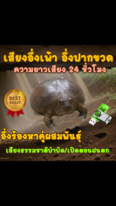 เสียงอึ่งเพ้า อึ่งปากขวด อึ่งร้องหาคู่ผสมพันธ์ุ 24 ชั่วโมง USBแฟลชไดร์ฟเสียงต่อกบ เสียงชัดเสียงดี