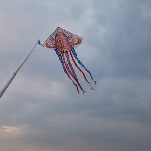 Diều Trẻ Em Bạch Tuột 6 Đuôi Phi Long