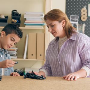 LEGO Speed Champions 77244 Mercedes-AMG F1 W15 Race Car (267 Pieces)