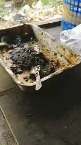 ไขล่อผึ้ง สำหรับทากล่องเลี้ยงผึ้ง แบบแท่ง ขนาดประมาณ 15 กรัม สำหรับล่อผึ้งโพรง ชนิดแท่งจับถนัดมือ