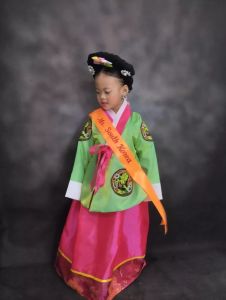 Kids Girls Traditional Korean Hanbok Outfit Dress Costume