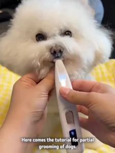 Pet Grooming Kit Low Noise Paw Trimmer LED Light Rechargeable Clipper Safe Ceramic Blade Waterproof Design for Dogs Cats