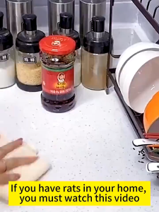 Anti-rat spray is harmless to people and pets. It is a car engine rat repellent a household rat repellent and a rat killer.