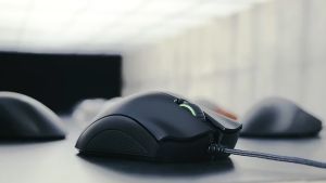 Razer Gaming Mouse DeathAdder Essential (White) by Speed Computer