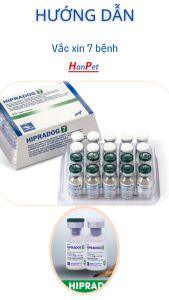 (Hoả tốc) Hướng dẫn tiêm vắc xin chó 7 bệnh (tặng bơm kim tiêm)