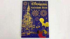Disneyland In Paris Colouring Book For Kids & Adults To Color (96 Thick Pages)