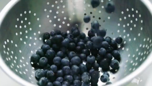 [BUY 1 GET 1] Premium Soft Dried Blueberry | Healthy Naturally Sweet Chewy Fruit Snack No Sugar Added 100g 250g 500g