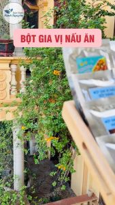 Combo 10 loại bột gia vị nấu ăn nhà bếp nguyên chất (Gia vị tẩm ướp tạo màu thực phẩm) - Thảo Dược Hạnh Nguyên