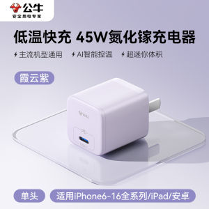 Bull 30W USB-C Power Delivery Charger with Type-C Data Cable  16 Charging Head 15Promax Charging Head Data Line Plug Set