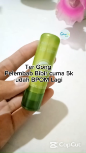Lip Balm ALOE VERA 99 - Lipstick Soothing Gel Bibir - Lidah buaya Aloevera