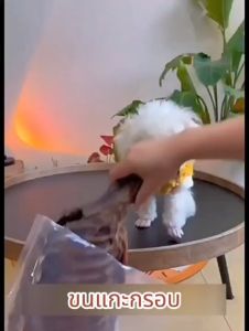 ขนมขัดฟันสัตว์เลี้ยง ขนมน้องหมา ซี่โครงแกะอบแห้ง ขนาดใหญ่ ขัดฟัน แทะเล่น