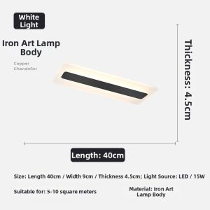 FANZHEN | Modern Minimalist Passage Light Human Induction