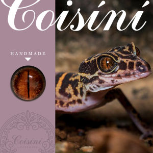 Bộ Đồ Trang Trí Thủ Công DIY Bằng Vải Lông Cừu Mắt Thú Sinh Vật Mô Phỏng Thủy Tinh Mắt Chồn Leo Leo Da Báo Bộ Dụng Cụ Khâu Gia Đình