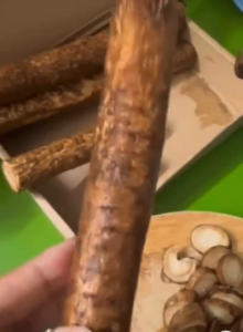 Củ ngưu báng tươi (NGƯU BÀNG) 1kg Quy Nguyên Thầy Tuệ Hải - CHÙA LONG HƯƠNG
